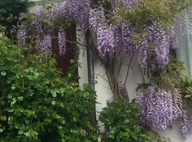 Ferienzimmer Am Appartement *